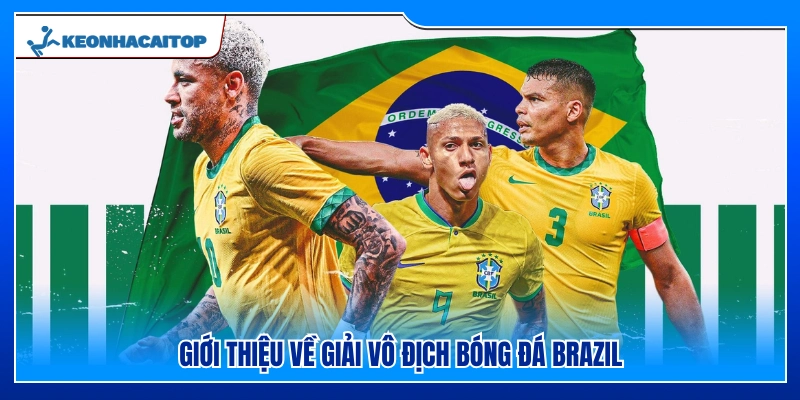 Tổng quan về giải vô địch bóng đá Brazil