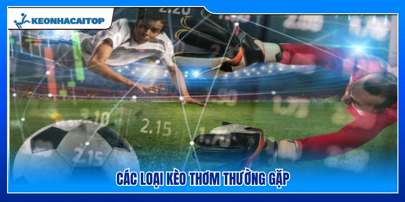 Những loại kèo thơm bóng đá phổ biến thường gặp